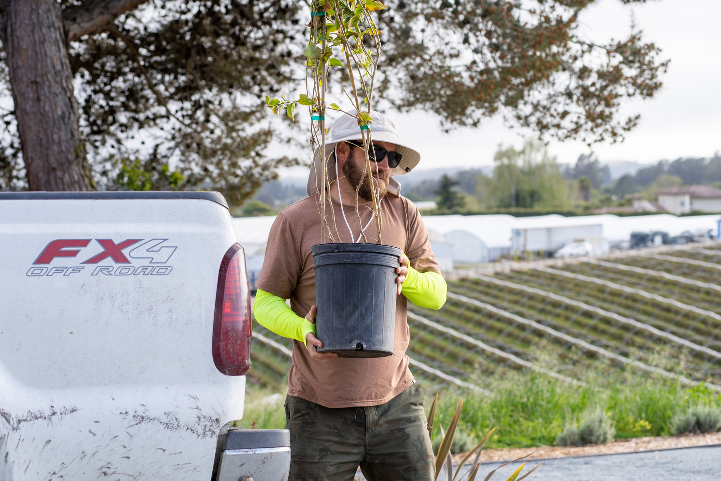 Farmer's Defense garden sleeve-High Visibility-Yellow